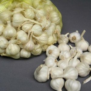 Tỏi Lý Sơn